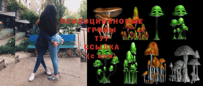 Галлюциногенные грибы Cubensis  Верхнеуральск 